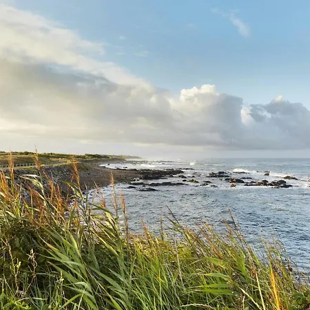 Maison T3 Avec Jardin Clos, Veranda, Animaux Admis, Parking, Proche - Fr-1-92-677 *