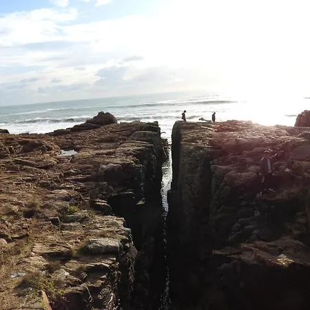 別荘 Maison T3 Avec Jardin Clos, Veranda, Animaux Admis, Parking, Proche - Fr-1-92-677