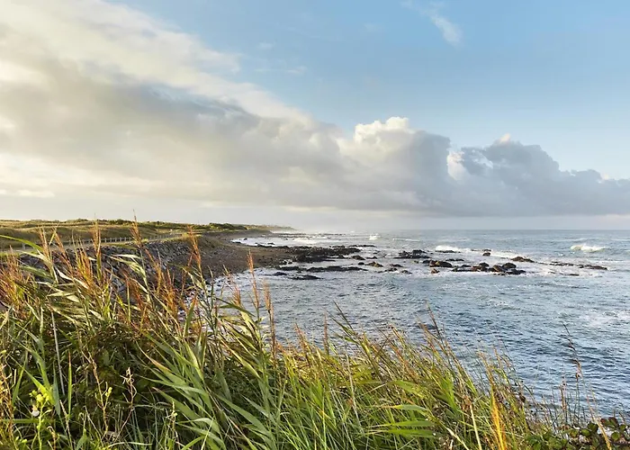 Maison T3 Avec Jardin Clos, Veranda, Animaux Admis, Parking, Proche - Fr-1-92-677